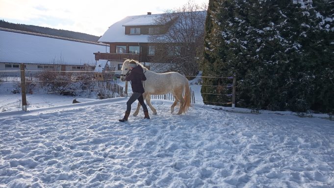 Lui (*2022) Beginnende Basisarbeit an der Hand