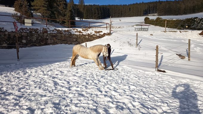 Lui (*2022) - Deeeehnen