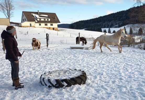 Lui (*2022) - Zwischendurch flitzen