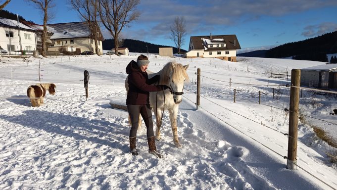 Lui (*2022) - Im Hintergrund wartet Pegasus, bis er endlich dran ist