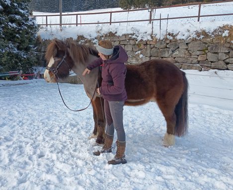 Wickie (*2022) - Mein Herzblatt