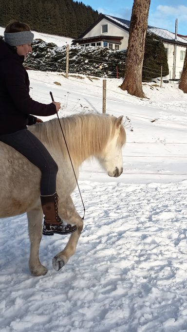 Lui (*2022) - Mit den Öhrchen immer bei mir