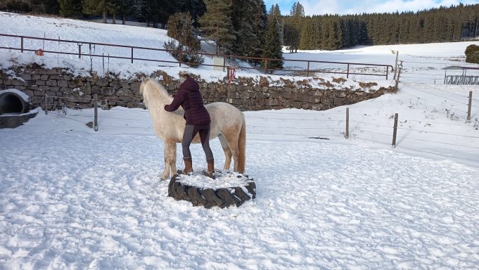 Lui (*2022) - Freien Einparken an der Aufsteighilfe