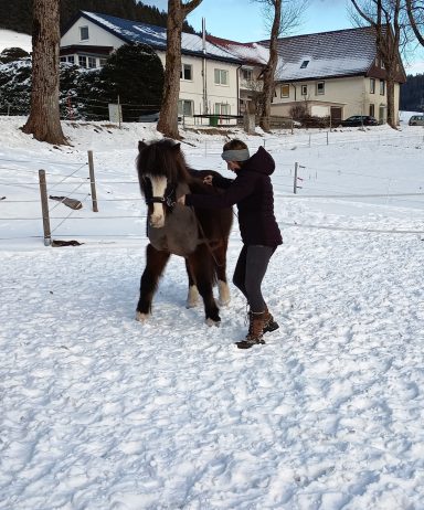 Wickie (*2017) - Ein bisschen Konzentration tut auch dem Frührentner gut
