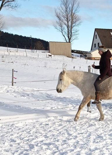 Lui (*2022) - Erste Schritte unter dem Reiter