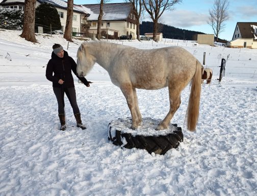 Lui (*2022) - Zirkuslektionen beginnen