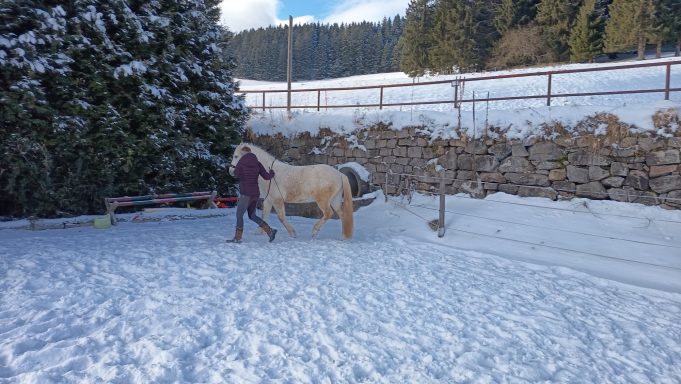 Lui (*2022) - Basisarbeit an der Hand